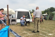 International Dog Show Kecskemét 