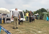 International Dog Show Kecskemét 