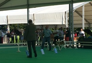 International Dog Show – CACIB Karlovac /Croatia/