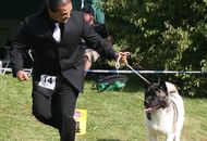 Bounty Of Danger Zone "Shoto"