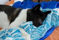 Armani Marcus of Danger Zone