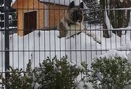 Brabus Of Danger Zone