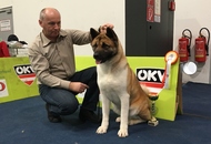 International Dog Show – CACIB Graz /Austria/