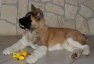    Faiter Big Explosion At Danger Zone a.k.a. RICH