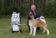 National Dog Show - Kaposvár CAC