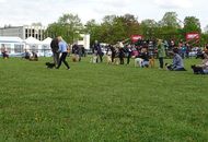 International Dog Show - Debrecen CACIB