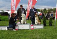 International Dog Show - Debrecen CACIB