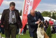International Dog Show - Debrecen CACIB