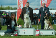 International Dog Show - Debrecen CACIB