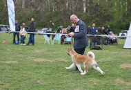 National Dog Show - Kaposvár CAC