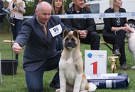National Dog Show - Kaposvár CAC