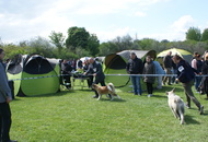 National Dog Show - Mosonmagyaróvár CAC