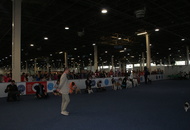 Budapest Grand Prix - CACIB Dog Show