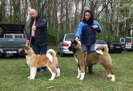 National Dog Show - Kaposvár CAC