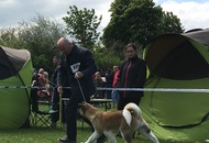 National Dog Show - Mosonmagyaróvár CAC