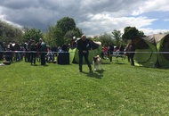 National Dog Show - Mosonmagyaróvár CAC