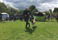 National Dog Show - Mosonmagyaróvár CAC