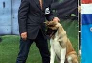 International Dog Show – CACIB Varasdin (HR)