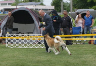 Pápa CAC 20.05.2017 AM and Esterházy Memorial CAC 20.05.2017 PM