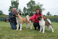 Pápa CAC 20.05.2017 AM and Esterházy Memorial CAC 20.05.2017 PM