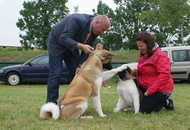 Pápa CAC 20.05.2017 AM and Esterházy Memorial CAC 20.05.2017 PM