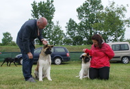 Pápa CAC 20.05.2017 AM and Esterházy Memorial CAC 20.05.2017 PM