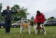 Pápa CAC 20.05.2017 AM and Esterházy Memorial CAC 20.05.2017 PM