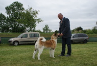 Pápa CAC 20.05.2017 AM and Esterházy Memorial CAC 20.05.2017 PM