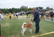 Pápa CAC 20.05.2017 AM and Esterházy Memorial CAC 20.05.2017 PM