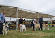 Pápa CAC 20.05.2017 AM and Esterházy Memorial CAC 20.05.2017 PM