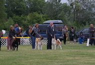 Pápa CAC 20.05.2017 AM and Esterházy Memorial CAC 20.05.2017 PM