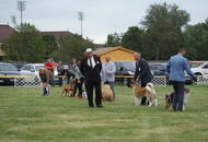 Pápa CAC 20.05.2017 AM and Esterházy Memorial CAC 20.05.2017 PM