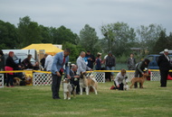 Pápa CAC 20.05.2017 AM and Esterházy Memorial CAC 20.05.2017 PM