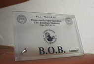 Pápa CAC 20.05.2017 AM and Esterházy Memorial CAC 20.05.2017 PM