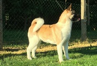 Bridget Jones Of Danger Zone