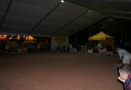 -16. Night CAC and CACIB Szombathely (H)