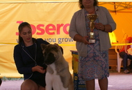 -16. Night CAC and CACIB Szombathely (H)