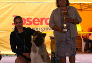 -16. Night CAC and CACIB Szombathely (H)