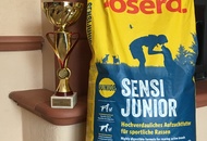 -16. Night CAC and CACIB Szombathely (H)