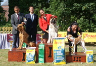 CAC Dog Show Herend (H)
