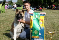 CAC Dog Show Herend (H)