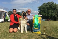 CAC Dog Show Herend (H)