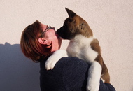 Centurio Of Danger Zone "Vito"