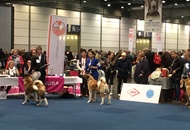 World Dog Show Leipzig (D)