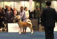 World Dog Show Leipzig (D)