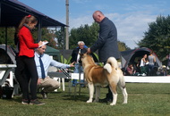 OTK 30. Jubileumi CAC&Speciál Országos Kutyakiállítás (H)