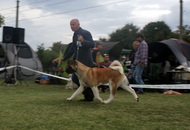 OTK 30. Jubileumi CAC&Speciál Országos Kutyakiállítás (H)