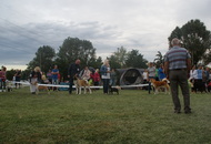 OTK 30. Jubileumi CAC&Speciál Országos Kutyakiállítás (H)