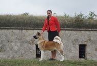 Komárom CAC Dog Show (H)