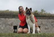 Komárom CAC Dog Show (H)